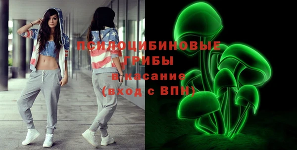 spice Белокуриха